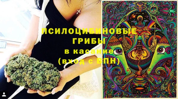 прущая мука Белокуриха