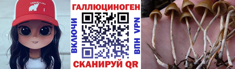 Псилоцибиновые грибы прущие грибы  МЕГА зеркало  Белоусово 